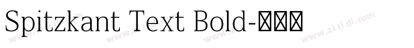 Spitzkant Text Bold字体转换